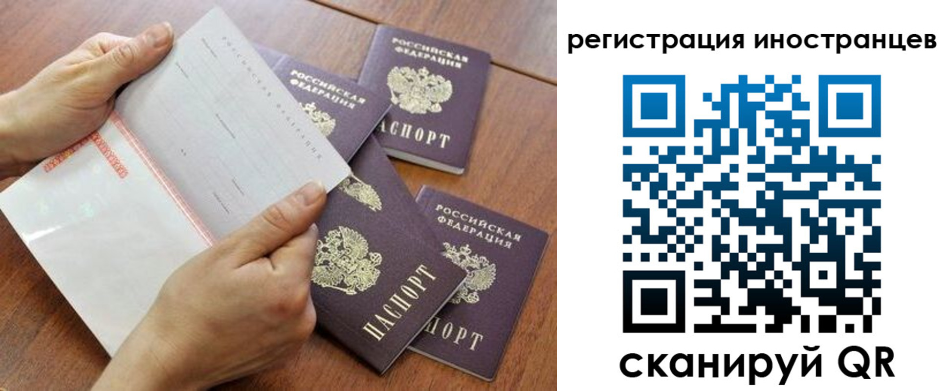 прописка поиск в Лагани